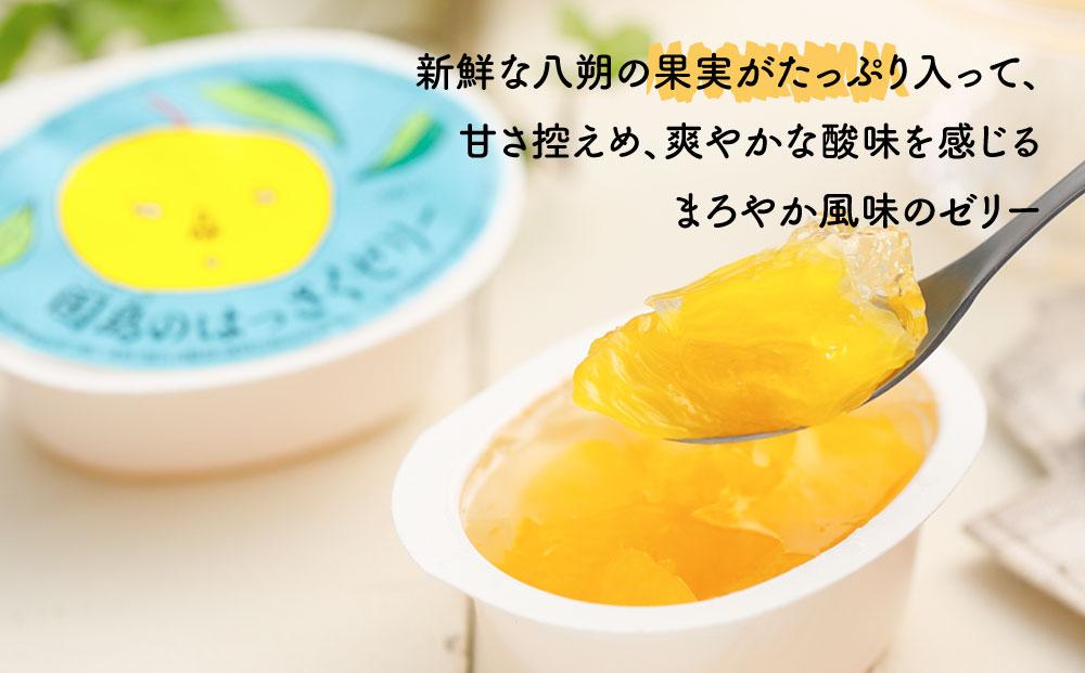 因島のはっさくゼリー（78g×5個） 3箱　15個セット【八朔 柑橘 みかん ゼリー シャーベット デザート おやつ 広島の 給食 はっさく JA 広島 尾道】