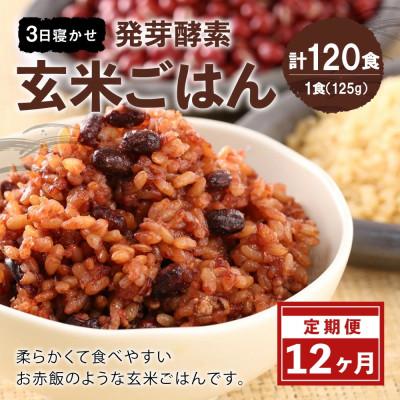ふるさと納税 九重町 【毎月定期便】【常温】レンジ対応!3日寝かせ発芽酵素玄米ごはん10食全12回