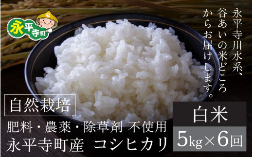 【先行予約】【令和6年産 新米】【6ヶ月連続お届け】自然栽培米 永平寺町産 コシヒカリ 【白米】５kgx6ヶ月（計30kg）無農薬 化学肥料  除草剤 不使用 福井県 永平寺 定期便