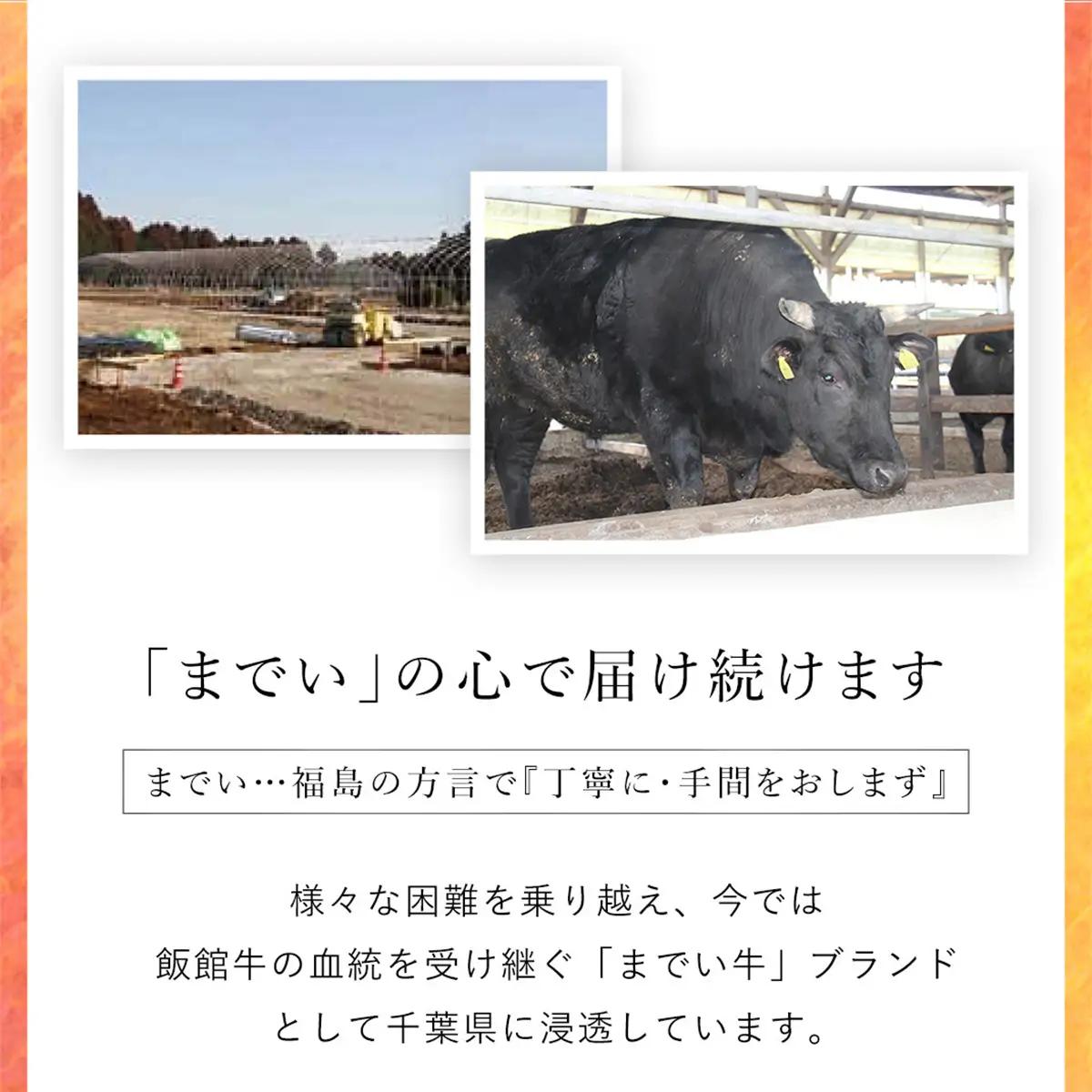  【約500g・サーロイン・しゃぶしゃぶ用】山武牛「までいの牛」 ITTAK012