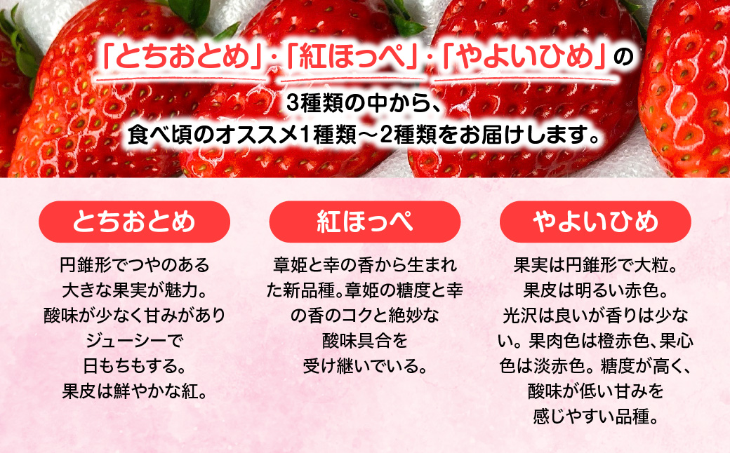 【先行予約・2027年1月～発送】農家直送！窪原さんちのこだわり極上、完熟いちご　（とちおとめ、紅ほっぺ、やよいひめのいずれかを約１㎏） SMDH001