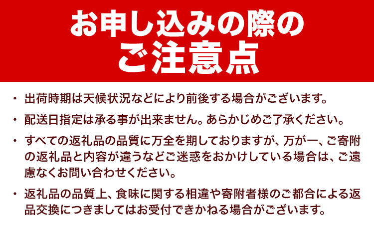 令和6年産 北海道 名寄産 スイートコーン イエロー L～2Lサイズ 22本 《8月中旬-9月中旬頃出荷予定》 NPO法人なよろ観光まちづくり協会 北海道 とうもろこし トウモロコシ Lサイズ 2Lサ