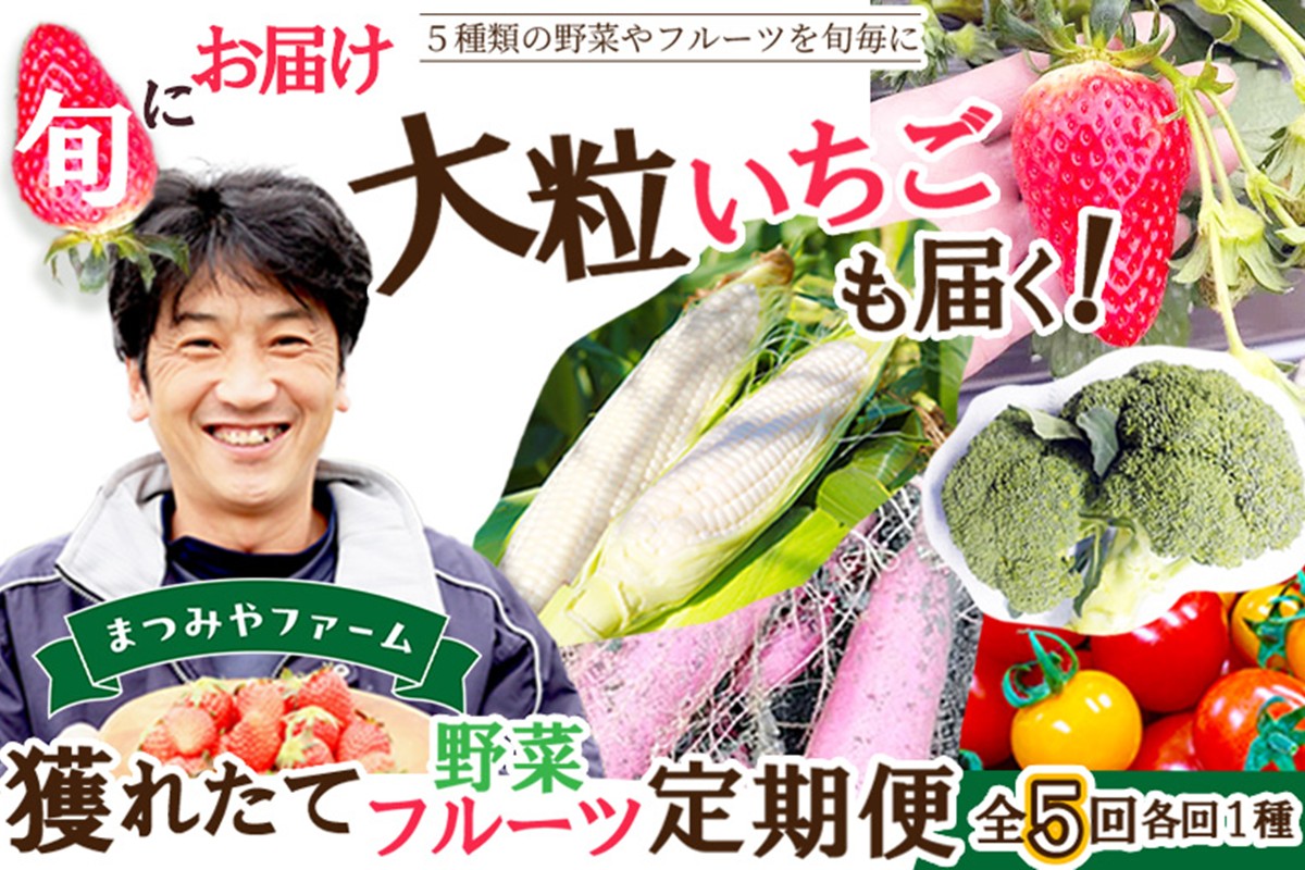 まつみやファーム獲れたて野菜・フルーツ5種定期便 ふるさと納税 果物 くだもの フルーツ ふるーつ 野菜 やさい 芋 穀物 紅はるか さつまいも いちご イチゴ 苺 ホワイトコーン 農家応援 生産者応援 送料無料