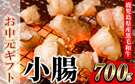＜2026年お中元ギフト＞鹿児島県産黒毛和牛 小腸(計700g) 鹿児島県産 ホルモン もつ鍋 焼肉 鍋 焼肉用 焼き肉 バーベキュー 冷凍 牛肉 肉 もつ モツ 内臓 国産牛 モツ鍋 もつなべ 九州 国産 贈答品 ギフト【バクロ】【00-030-08-R8OC】