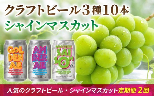 【2回定期便】シャインマスカットとクラフトビールの人気セット（シャインマスカット2房1.1kg以上とクラフトビール飲み比べ（3種10缶））｜【JA信州うえだ／オラホビール】ぶどう 葡萄 大粒 果物 フルーツ 生食／ゴールデンエール・アンバーエール・ヌーベルセゾン 地ビール 頒布会 長野