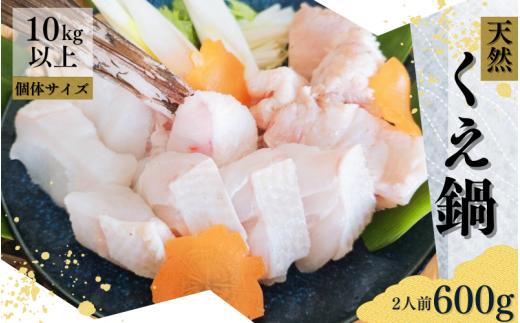 幻の高級魚 くえ 天然クエ鍋セット 2人前600g 【個体10kg以上】【1ヶ月以内に順次発送】 / クエ クエ鍋 天然 魚 魚貝 海鮮　【tcr012A】