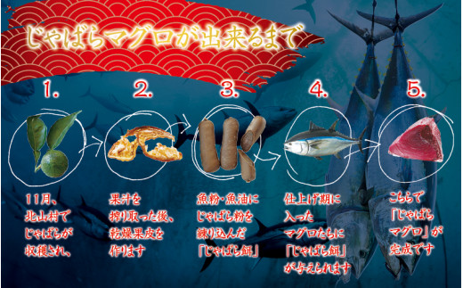 本マグロ（養殖） トロ＆赤身セット 500g 【１ヶ月以内に順次発送】☆北山村人気No1☆ | まぐろ マグロ 本マグロ 鮪 中トロ 赤身 柵 刺身 お刺身 人気 海鮮 海産物 鮮魚 魚 じゃばらまぐ