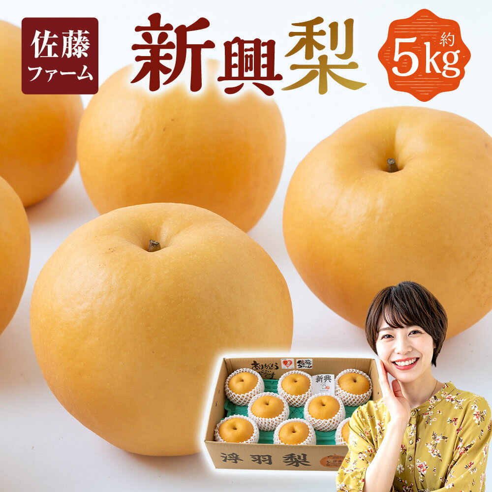 【ふるさと納税】【先行予約】佐藤ファーム 新興梨 8玉～12玉 （約5kg） 【2026年10月下旬より順次発送予定】 梨 なし ナシ 新興 しんこう フルーツ 果実 果物 常温 送料無料 福岡県 うきは市