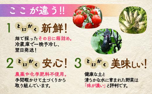 【12回定期便】＜アスカ有機農園＞旬の京野菜セットL（平飼い卵付）＊毎月お届け全12回