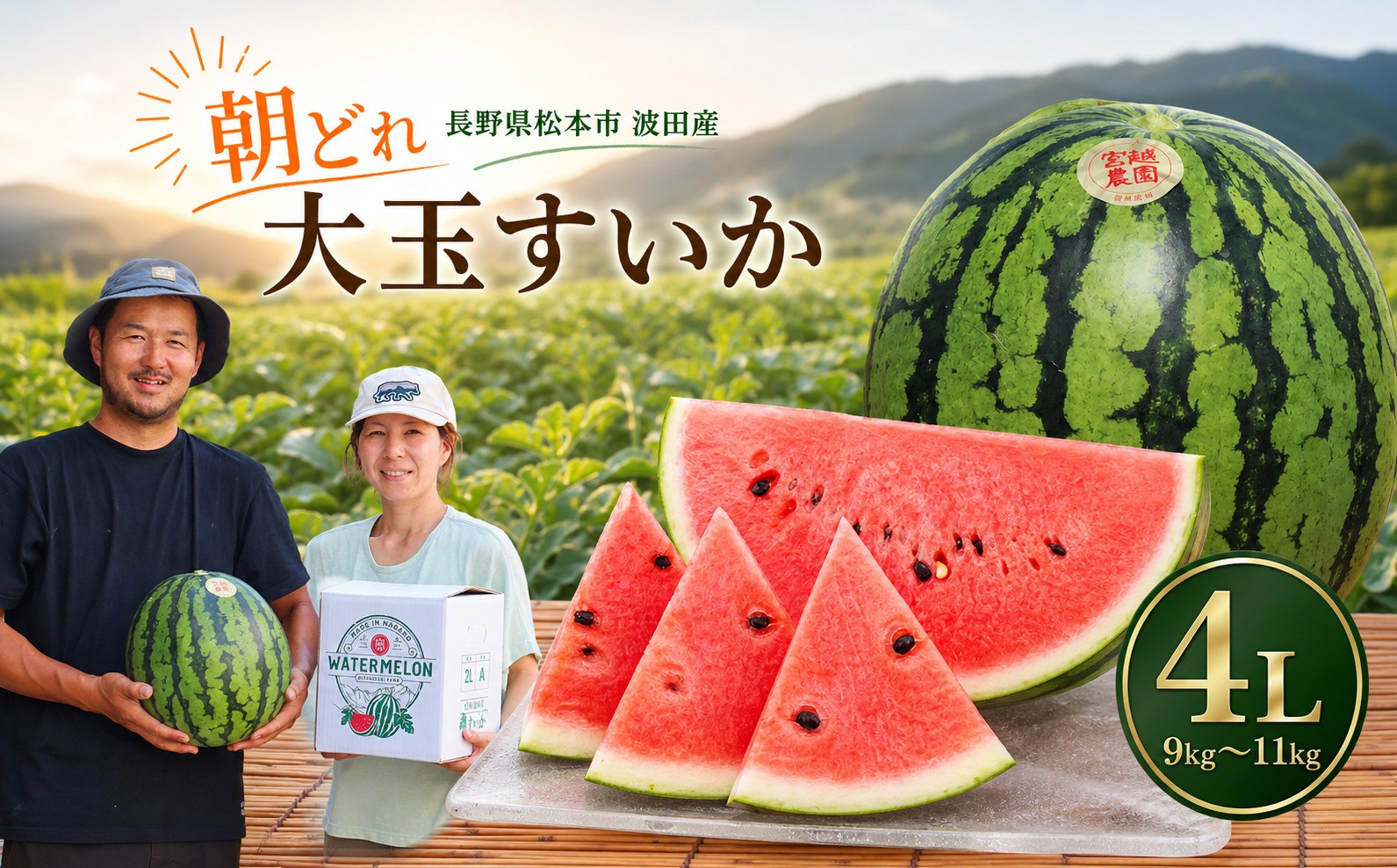 
                  松本市 波田産 大玉すいか 4L（9kg～11kg)│ 信州 松本市 長野県 西瓜 すいか 果物 大玉 スイカ フルーツ くだもの 新鮮 果汁 ジューシー 大きい ふるーつ 発送
                