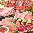 【ふるさと納税】 定期便 ( 2回 配送) 鹿児島県産 黒毛和牛 ・ 豚肉 ・ 一本釣り かつお DD-6004 _ 肉 お肉 牛肉 切り落とし すき焼き すきやき 豚肉 鰹 ハンバーグ ロース スライス 海鮮丼 人気 送料無料 【1166749】