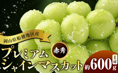 【2026年発送】岡山県船穂地区産 プレミアム シャインマスカット 晴王 赤秀 600g  彩美菜果