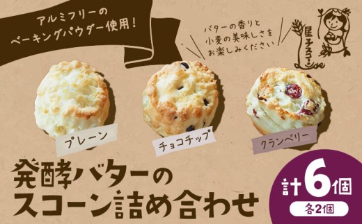 星子スコーン 行列ができる スコーン 詰め合わせ 3種 6個 プレーン チョコチップ クランベリー 《30日以内に出荷予定(土日祝除く)》 星子スコーン 千葉県 流山市 おやつ お中元 お菓子