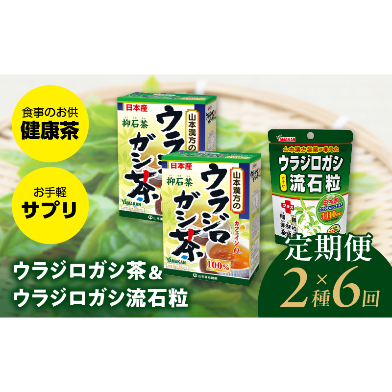 ＜6ヶ月連続＞ウラジロガシ茶＆ウラジロガシ 流石粒［027Y33-T］