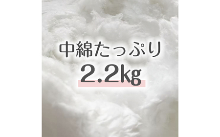MOFMOF長座布団 大判サイズ 【カラー：ブルー】 座布団 クッション 和風座布団 岐阜市 / MJファクトリー[ANIA013]