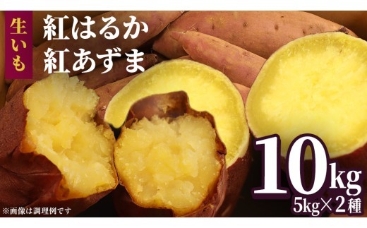 
                  さつまいも 【 紅あずま ・ 紅はるか 】 5kg ( 箱込 )の 2箱セット さつまいも 詰合せ 国産 農園 野菜 サツマイモ 芋 期間限定 デザート スイーツ おやつ 料理 味噌汁 煮物 生芋
                