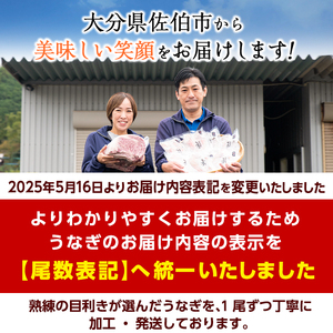 国産 うなぎ蒲焼 無頭(計2尾)  ウナギ 鰻 蒲焼き うな重 ひつまぶし タレ 魚 冷凍 大分県 佐伯市【(株)ネクサ】【DH259】
