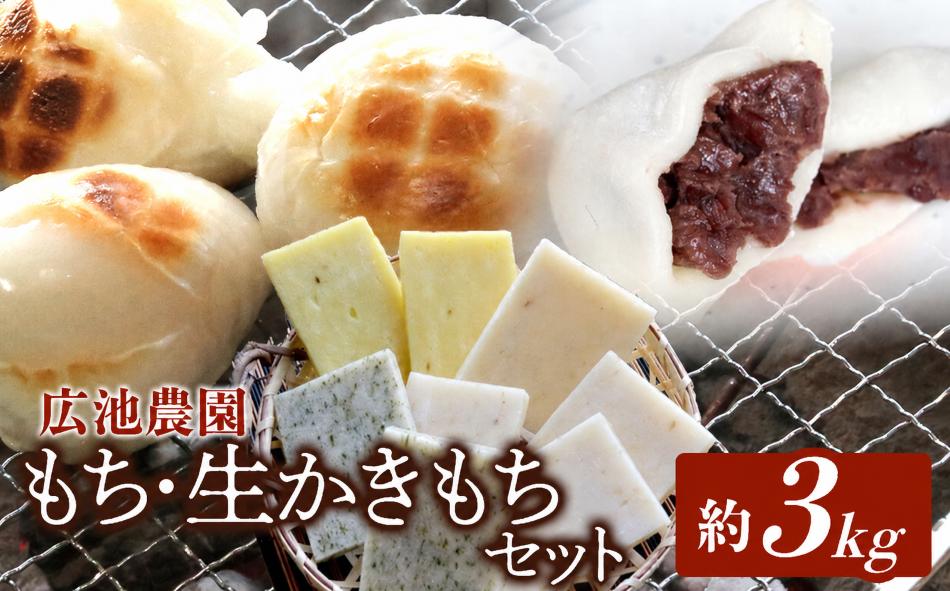 【期間・数量限定】広池農園もち・生かきもちセット 約3kg ( 冷凍小もち500g×2 冷凍あんもち6ヶ入×2 生かきもち×3パック ) | もち 生かきもち セット 3㎏ 3キロ 小もち あんもち 