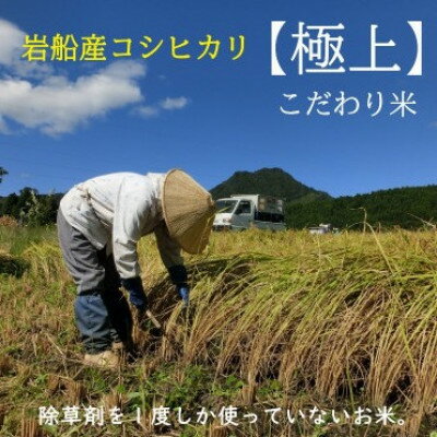 【ふるさと納税】[極上]こだわり米 岩船産コシヒカリ精米3kg(3kg×1袋)[奥越後の百姓屋]【1640905】