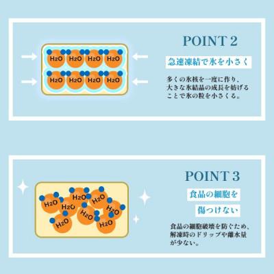 ふるさと納税 京都府 中華職人こだわりの大粒 海老シューマイ (約50g×6個)×4パック |  | 03