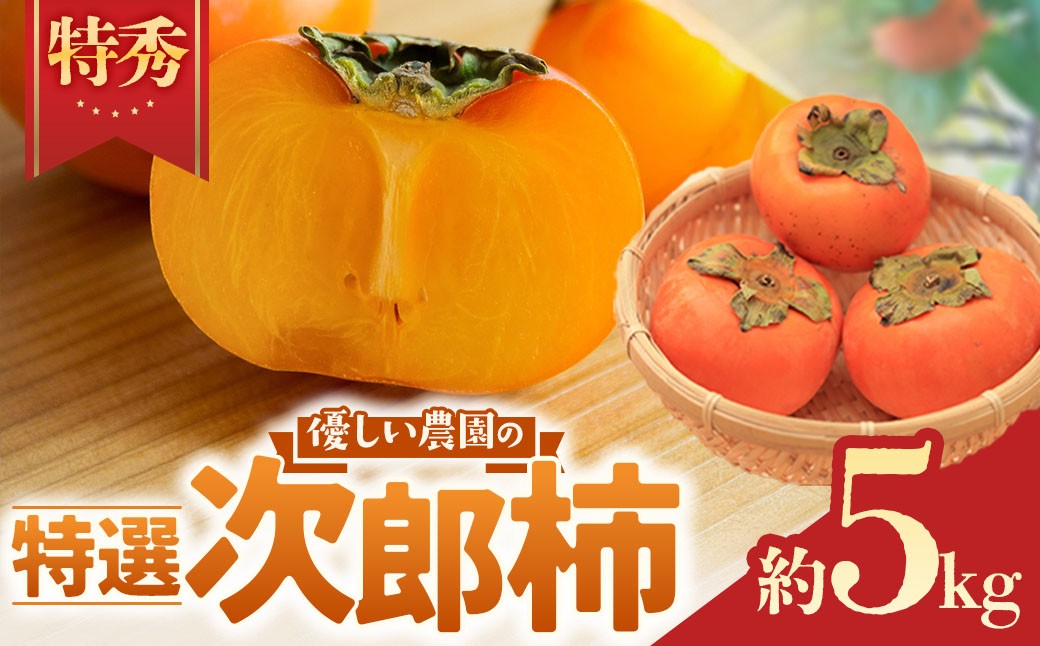 
                  次郎柿 約5kg【優しい農園の特選次郎柿】 [YSN-02] 柿 かき カキ 次郎柿 フルーツ fruit 果物 くだもの 食品 旬 甘柿 デザート お取り寄せ ギフト 産地直送 贈答品 特産品 お礼品 グルメ 国産 人気 おすすめ 秋の味覚 旬のフルーツ プレゼント 三重県 多気町 
                