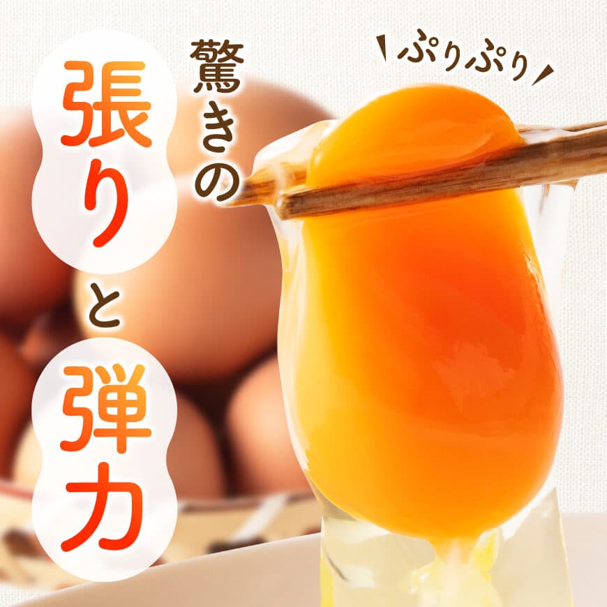 【12ヶ月定期便】宮崎県産鶏卵　「南国からの贈り物」大きな卵40個入り（35個+破損補償5個） 【 卵 たまご 新鮮 おうちごはん タマゴ おうち時間 】