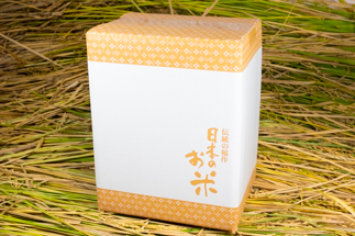 2024年秋収穫分 福岡県大川市産ヒノヒカリ 5kg【ギフト包装】