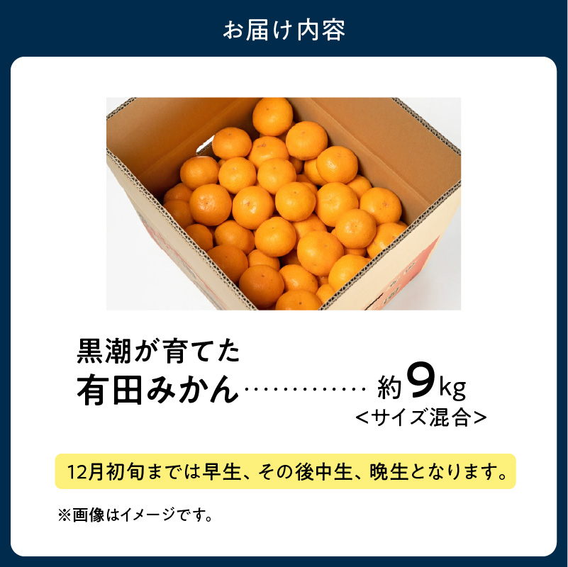 AE6110_【2025年先行予約】黒潮が育てた 有田みかん 約9kg (サイズ混合)
