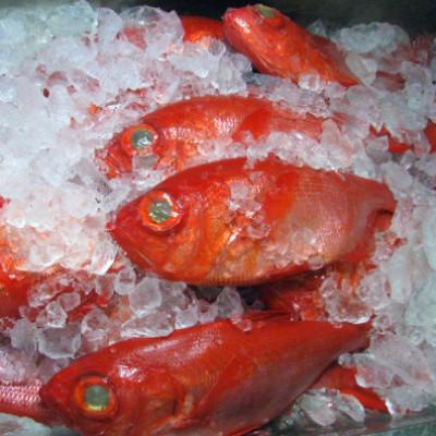 ふるさと納税 伊東市 金目鯛漬け魚(西京漬・塩麹漬)詰合せ |  | 01