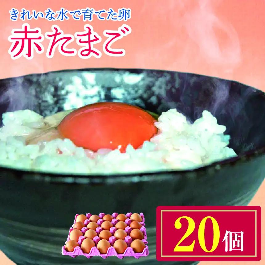 2週間以内に発送 きれいな水で育てた卵 赤たまご 20個  | 保坂農場 