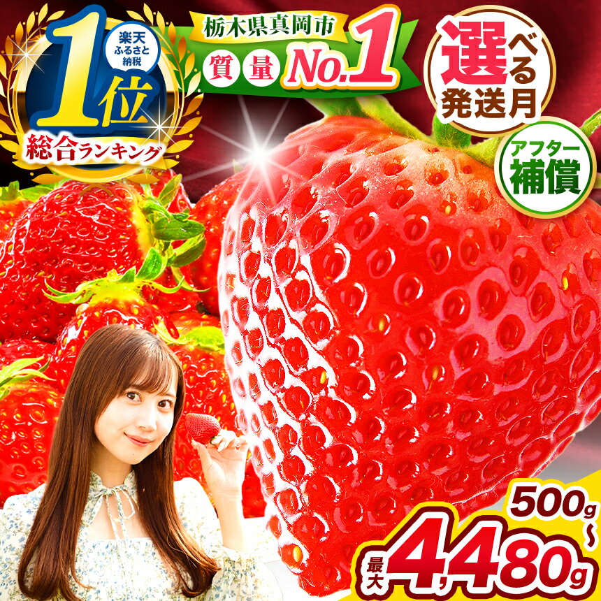 楽天限定 朝摘みいちご 旬の品種 1200g