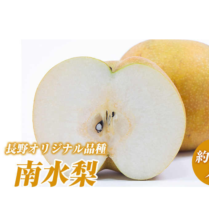 2026年産  長野オリジナル品種 南水梨 約3kg入り 2026年発送 果物 フルーツ デザート 食後 長野県産 信州 和梨 ジューシー 硬い 新品種 シャキシャキ 