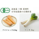 【ふるさと納税】小笠原農園の有機野菜2種詰合せ（アロマレッド2.5kg・リーキ3kg）【北海道十勝幕別】≪2024年秋出荷先行予約≫　 野菜詰め合わせ 野菜セット 北海道産 北海道野菜 　お届け：2024年9月下旬～12月下旬