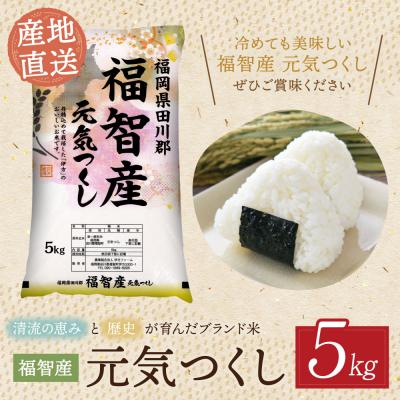 ふるさと納税 福智町 福智町産ブランド米(元気つくし5kg) |  | 01