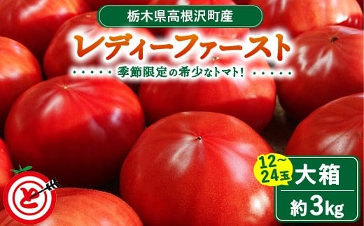 
            高根沢町産トマト「レディーファースト」 大箱（約3kg 12～24玉）※北海道・沖縄・離島への配送不可 ※2026年1月上旬～3月下旬頃に順次発送予定 ｜とまと トマト 野菜 サラダ 食品 ヘルシー 生野菜 季節品 希少 厳選 産地直送 新鮮 ハート形 薄皮 栃木県産トマト 国産 高根沢町産トマト 希少トマト 厳選トマト 産地直送トマト 新鮮トマト ファーストトマト 大箱トマト 栃木県 高根沢町
          