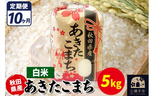 《定期便10ヶ月》あきたこまち 5kg【白米】令和7年産 秋田県産 こまちライン [こまちライン あきたこまち ブランド米 お米 白米 精米 米どころ 秋田 秋田県産]