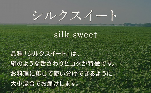 040-02-1 【お歳暮に】さつまいも「シルクスイート」5kg