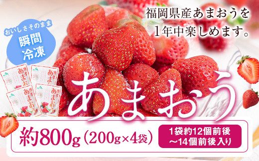 冷凍あまおう 約800g(約200g×4袋)《1-5営業日以内に出荷予定(土日祝除く)》いちご 鞍手郡