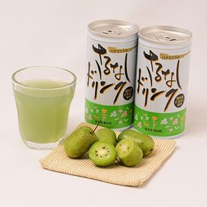 【いわて軽米町産果実100%使用】さるなしドリンク　30本入_果汁果汁果汁さるなしさるなし_【1900650】