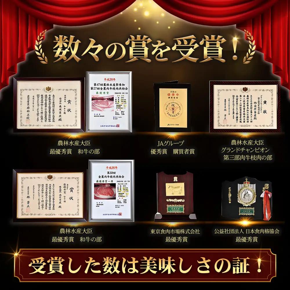 A5等級 佐賀牛 焼肉用 800g(400g×2P)【厳選部位】佐賀牛ロース 佐賀牛モモ 佐賀牛ウデ 佐賀牛バラ【美味しい佐賀牛を贅沢に】佐賀牛のうま味 D-183