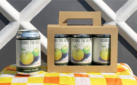 クラフトビール UCHIKO THE BEER 350ml×6缶セット BKAJ001 ビール