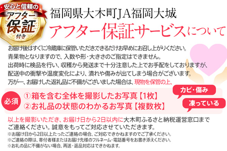 【アフター保証】先行予約 博多あまおう 福岡県JAグループのブランド あまおう いちご 1080g（約270g×４パック） 【2025年2月上旬から順次発送】 AG010