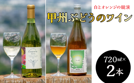 南アルプス天空舎の甲州ぶどうで醸すワイン、白とオレンジの競演（2本入り 各720ml）ALPAB059
