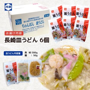 【B9-006】長崎伝統の味　ひふみの長崎皿うどん6個セット