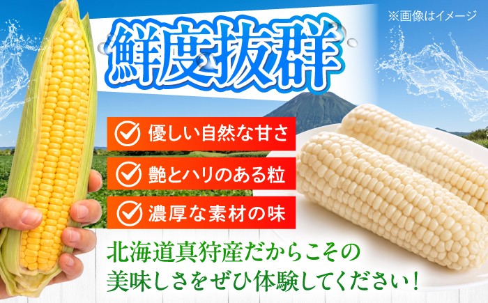 【8月下旬以降順次発送】 白と黄色のとうもろこし 各5kg