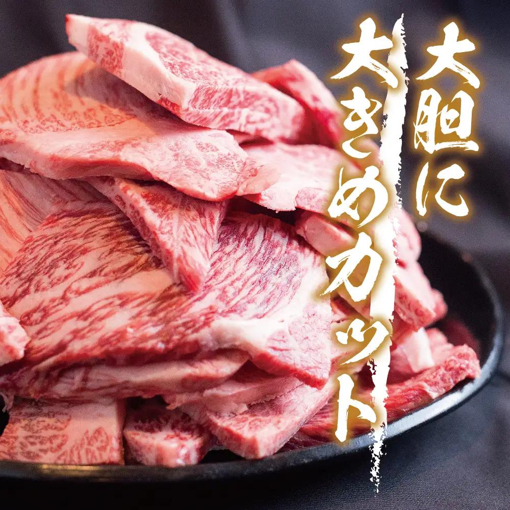 【定期便全3回】飛騨牛 訳あり焼肉1kg 切り落とし｜2ヶ月に1回 焼肉 LR105