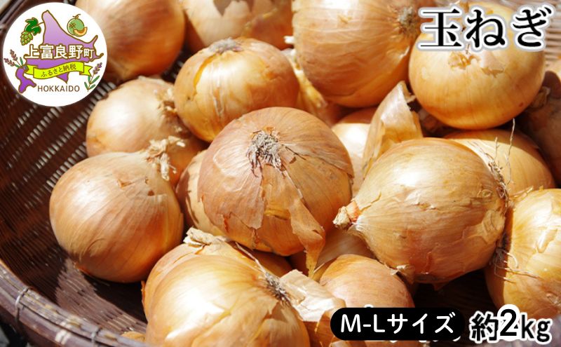【令和7年産】 北海道 上富良野 玉ねぎ 約2kg（ M-L サイズ ） 野菜 たまねぎ オニオン 産地直送 新鮮 ふらの