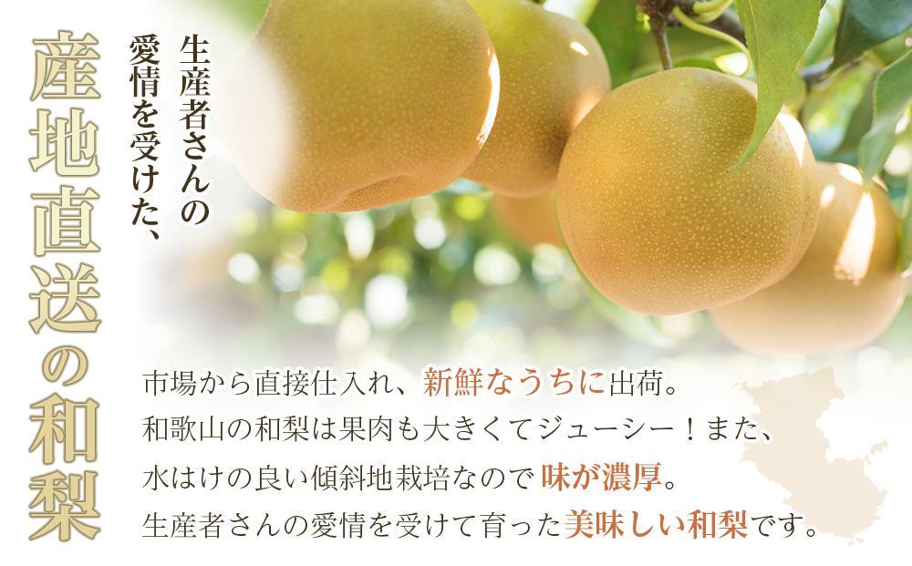 和歌山県産 旬の梨 約2kg［2025年8月中旬以降順次発送］［MG17］