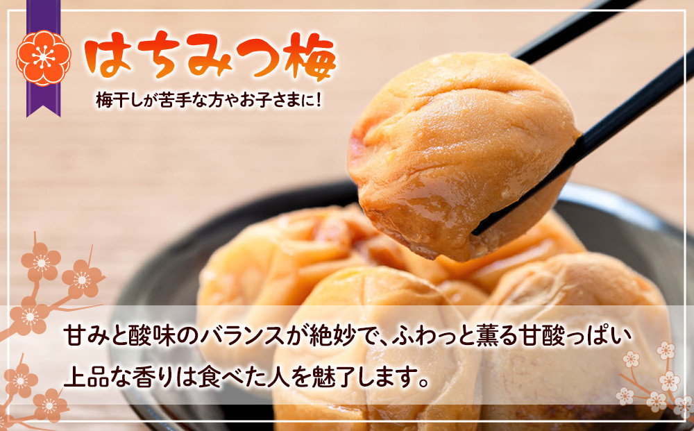 訳あり つぶれ梅干し はちみつ 合計700g （350g×2パック） 塩分 8％