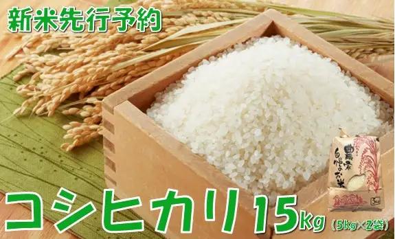 【令和８年産米 先行予約】コシヒカリ15kg　佐藤